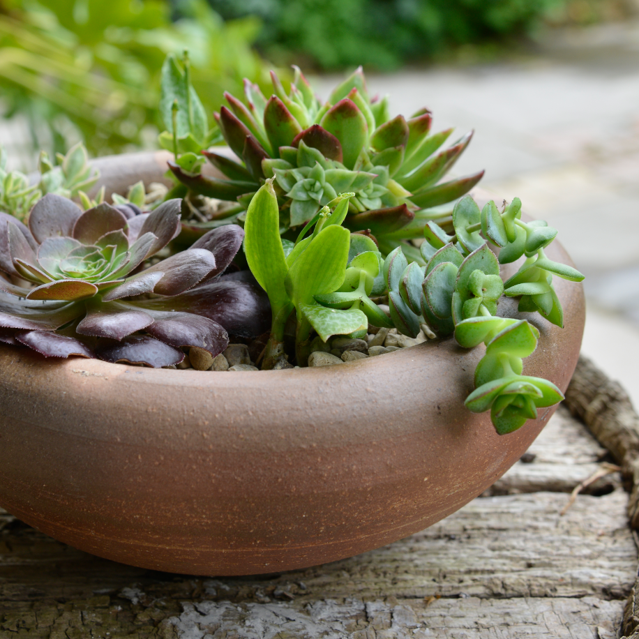 Handmade British Frostproof Flowerpots | Whichford Pottery